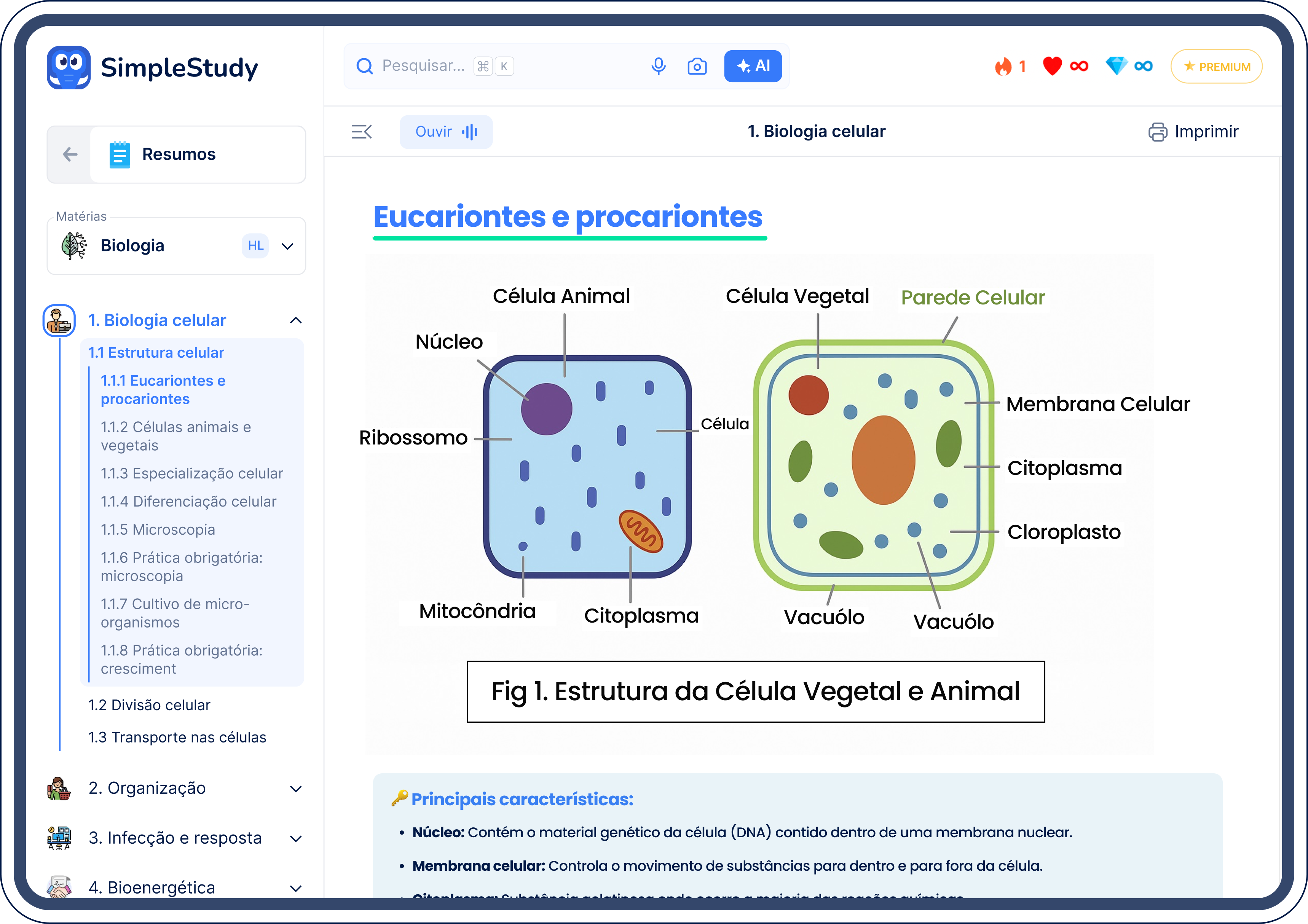 Flashcard Section
