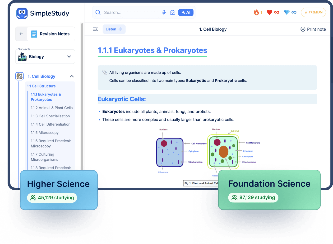 SimpleStudy demo